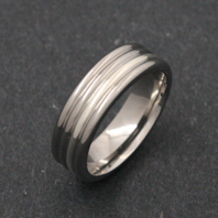 Titanium Ring - Silver Shebaka